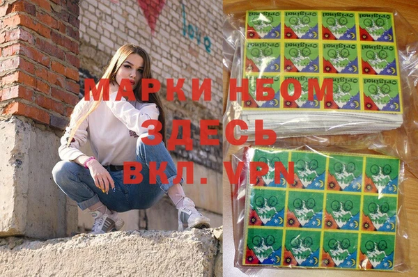 мет Алексин