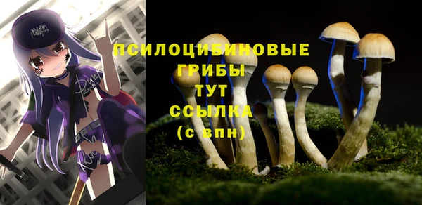 первитин Алзамай