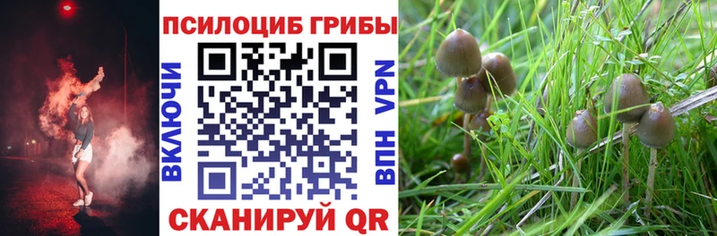 купить Сухиничи Псилоцибиновые грибы ЛСД